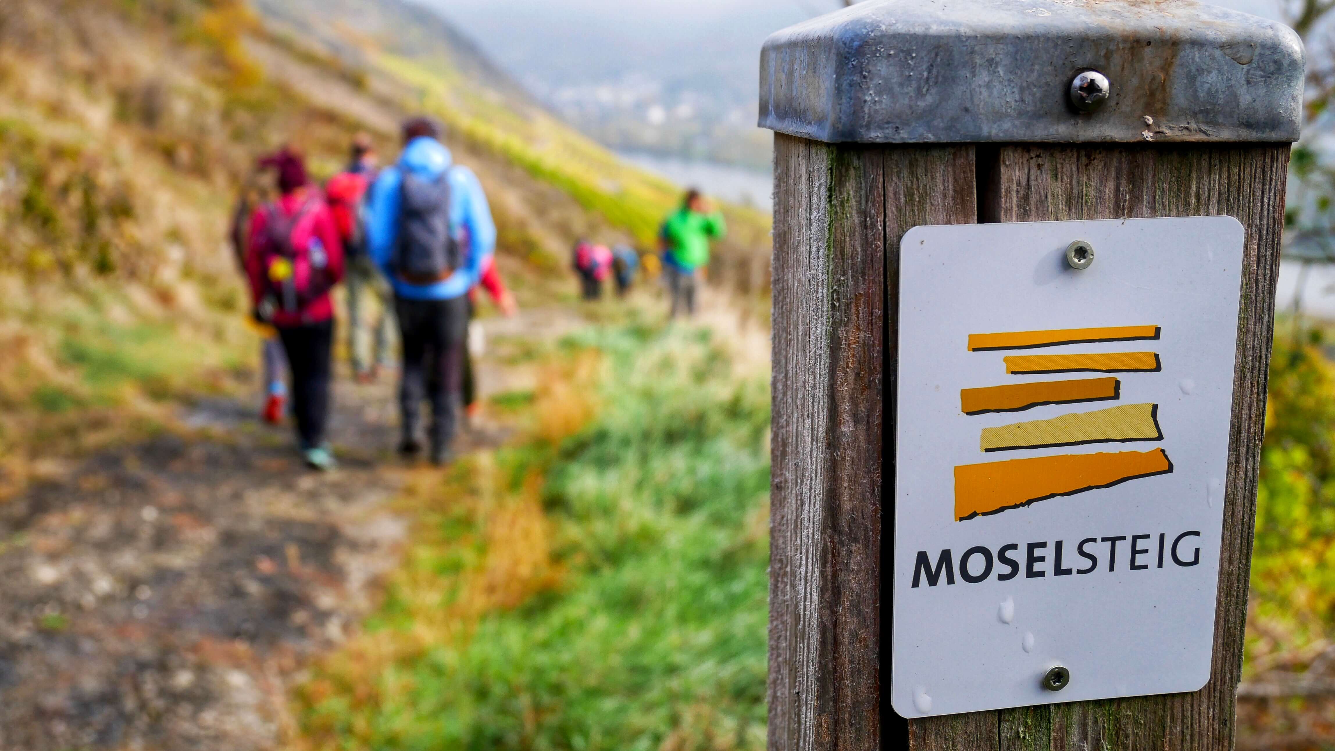 Für Outdoor-Fans und Feinschmecker: Wandern auf dem Moselsteig