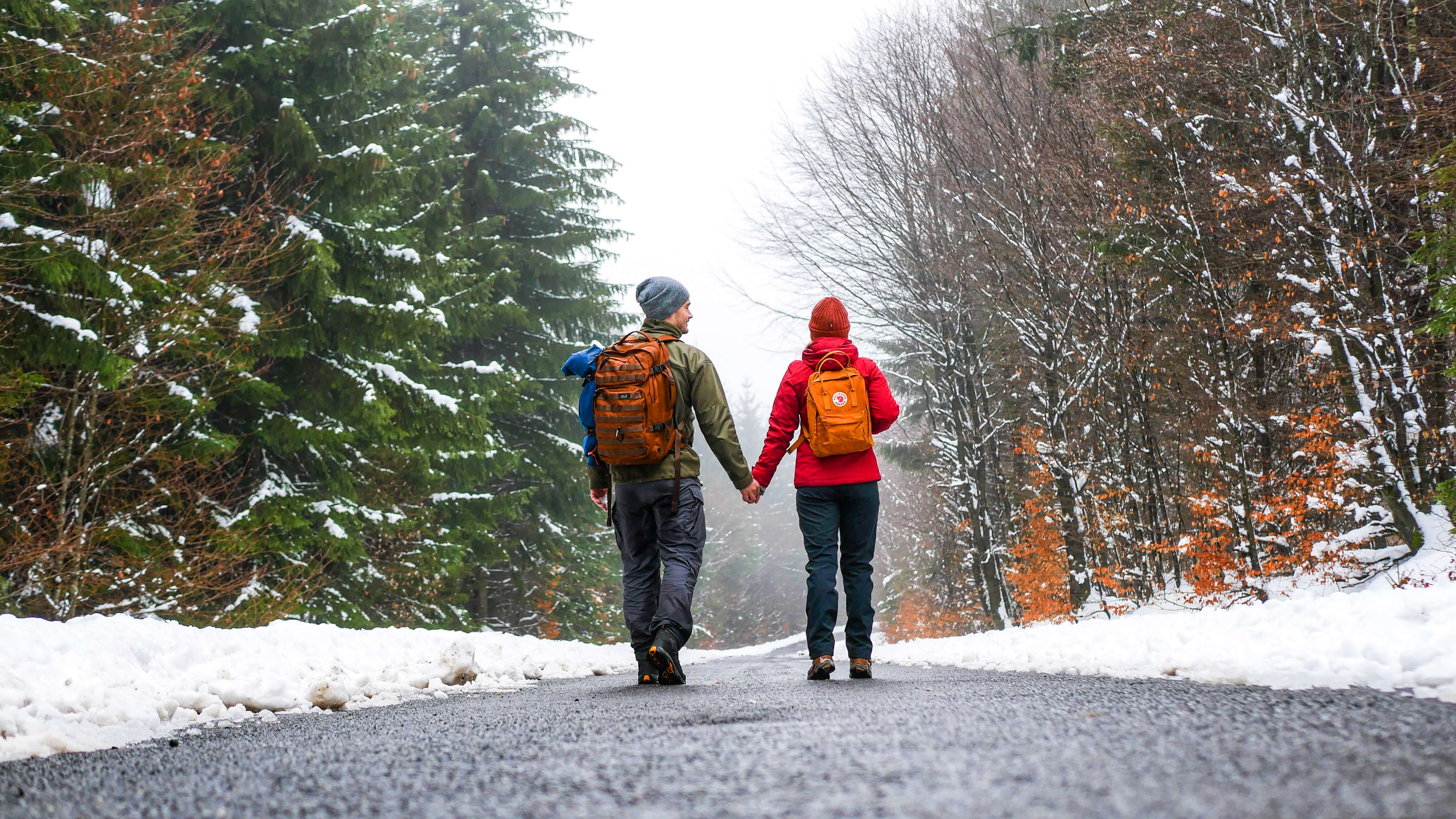 Warum Wandern im Nationalpark Hunsrück-Hochwald uns den Winter versüßt hat