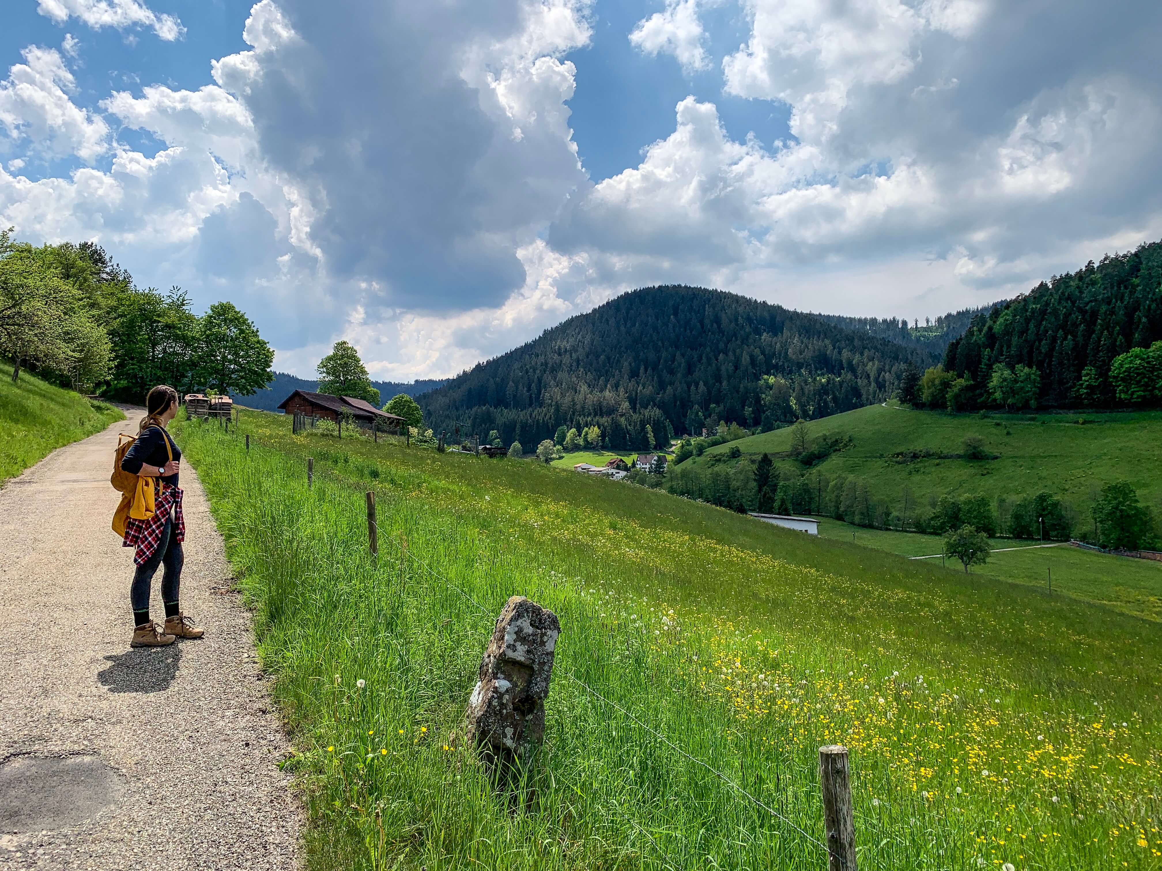 Wandern, Wellness und Kirschtorte: Unser Kurzurlaub im Schwarzwald