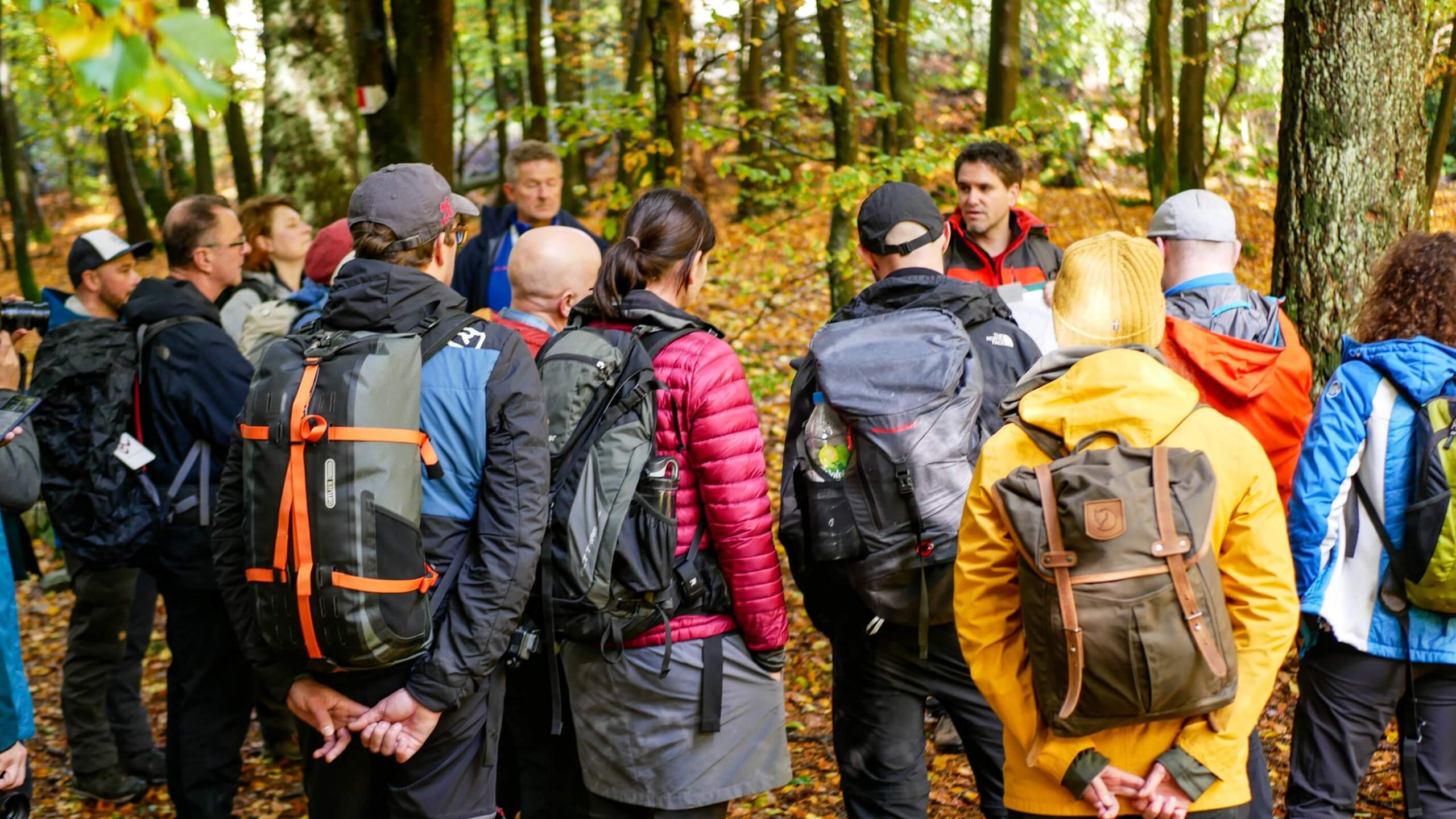 Bloggerwandern 2019: Herbstfreuden im Nationalpark Hunsrück-Hochwald
